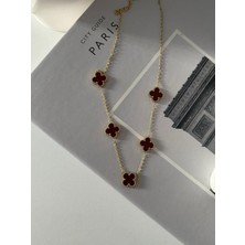 316L Çelik Gold Renk Zincir Bordo Yonca Kadın Kolye