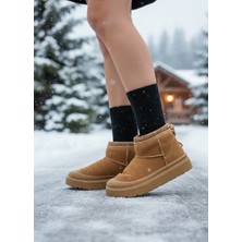 Stato Kadın Taba Süet Yumuşak Deri  Kürklü Kışlık Bağcıklı Bot