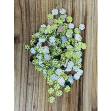 öztürk Taş Görünümlü Plastik Pul. EBAT:11MM. Tahmini 250 Adet. Renk: Fıstık Yeşili