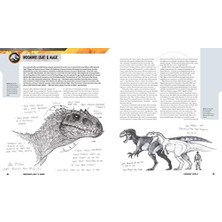 Mena Rise World: The Visual History