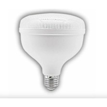 Cata Ct 4145 Kristal 45W Torch LED Ampul 6400K Beyaz Işık