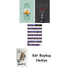 Alfa Yayınları Göl Saatleri + Nat Tate + A ! Etika + Kör Baykuş