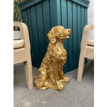 Mirsa Global Dekoratif  Golden Köpek Biblo Avcı Köpeği Heykel