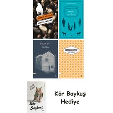Alfa Yayınları Katip Bartleby + Falaka ve Diğer Öyküler + Nişan Evi + Unuttum Dünya + Kör Baykuş