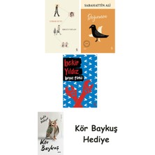 Alfa Yayınları Görme Huyu + Değirmen + Beyaz Türkü + Kör Baykuş