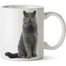 Kedi Seni Seviyorum Love Porselen Kupa Bardak