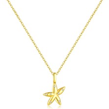 Brezza Lusso Jewelry Seastar Işıltılı Yıldız Minimal Kadın Gümüş Kolye