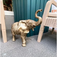 Mirsa Global Dekoratif  Fil Biblo Bahçe Dekoru Ev Ofis Heykel