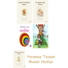 Everest Yayınları Beatrix Potter  2 - Sincap Cevizkıran Masalı + Beatrix Potter  5 - Iki Şaşkın Fare Masalı + Ilk Kitaplarım - Renkler (Ciltli) + Kırmızı Başlıklı Kız Kurda Karşı