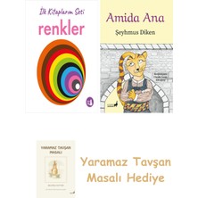 Everest Yayınları Ilk Kitaplarım - Renkler (Ciltli) + Amida Ana + Yaramaz Tavşan Masalı