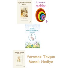 Everest Yayınları Beatrix Potter  23 - Küçük Domuz Robinson Masalı + Ilk Kitaplarım - Renkler (Ciltli) + Jemima Paytakördek'in Masalı