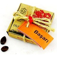 Dilek Tohumları - Başarı