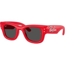 RAY-BAN 0RB4940B 686187 47 Unisex Güneş Gözlüğü