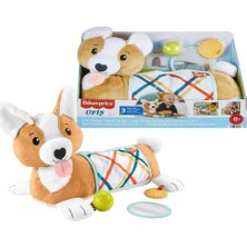 Fisher Price 3 Ü 1 Arada Köpekçik Uzanma Yastığı