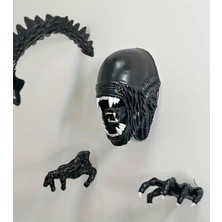 Yaratıcı Sanatlar Atölyesi 3 Boyutlu Xenomorph Alien Duvar Heykeli Seti Büyük Boy 4 Parça Gerçekçi Duvar Heykeli