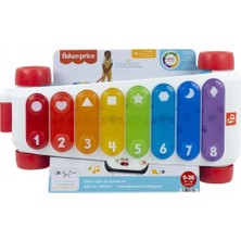 Fisher Price Işıklı Dev Ksilofon HJK36