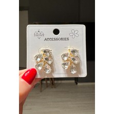 H&E Design Kadın Bordo Zirkon Taşlı Küpe