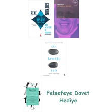 Alfa Yayınları Doğu Metafiziği ve Tasavvuf + Foucault ve Kaçıklık Kuramı + Eti Kemiği Zen