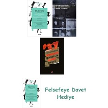 Alfa Yayınları Foucault ve Kaçıklık Kuramı + Hıristiyan Ezoterizmi + Dolayımsız Erotik Veya Müzikal Erotik Evreler