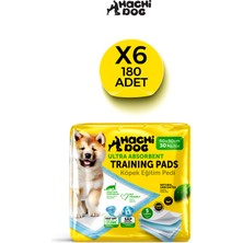 Hachi Dog Köpek Eğitim Pedi 60 x 90 cm 5 Katmanlı 180 Adet