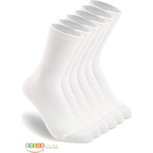 Color Socks 5 Çift Erkek Çorap Basic Fitilli Pamuk Soket (Yazlık Çorap)