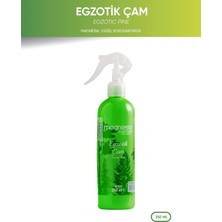 Magnesia Ocean Breeze Çam Ortam Spreyi 350 ml