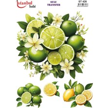 E Hobici Sulu Transfer Kağıdı 25X35CM ST-426