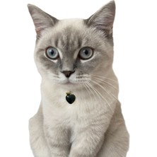 Petstone Doğal Taş Kedi Künyesi