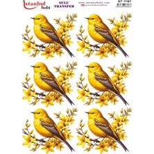 E Hobici Sulu Transfer Kağıdı 25X35CM ST-1167