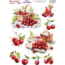 E Hobici Sulu Transfer Kağıdı 25X35CM ST-1079