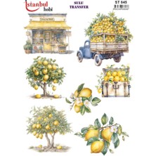 E Hobici Sulu Transfer Kağıdı 25X35CM ST-845