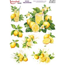 E Hobici Sulu Transfer Kağıdı 25X35CM ST-1071