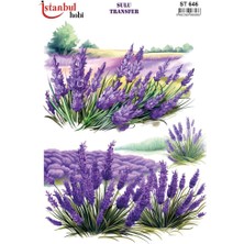 E Hobici Sulu Transfer Kağıdı 25X35CM ST-646