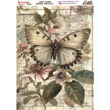 E Hobici Pirinç Dekopaj Kağıdı 30X42CM PT-498 Kelebek