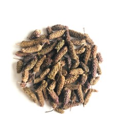 Medite KARABAŞ OTU 75 GR