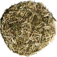 Medite YOĞURTOTU50GR