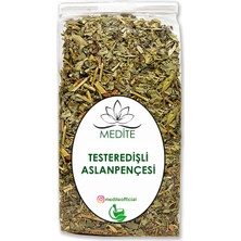 Medite Doğal Testeredişli Aslanpençesi Doğal (Alchemilla Vulgaris) Yeni Hasat 150 GR