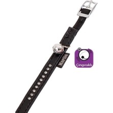 Karlıe Deri Taşlı Kedi Tasma Xs 30Cm-11Mm Siyah
