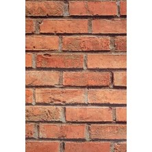 Mena Rise Desenli Kendiliginden Yapışkanlı Kaplama Folyosu 45 cm x 1 mt ELF109