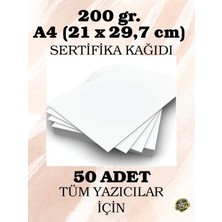 Mena Rise Gr. A4 (21 x 29,7 Cm) Sertifika Kağıdı, 50 Adet