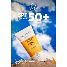 Mena Rise Celenes Herbal Yaşlanma Karşıtı Güneş Kremi, 50+ Spf, 50ML