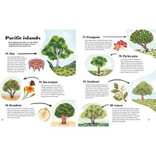 Mena Rise The World In 80 Trees