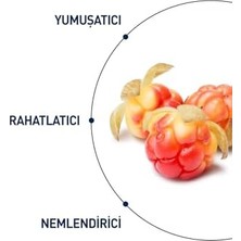 Mena Rise Celenes Cloudberry Göz Çevresi Bakım Kremi 15 ml