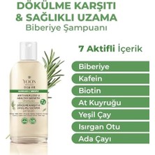 Mena Rise Yoon Saç Dökülme Karşıtı, Sağlıklı Hızlı Saç Uzamasına Yardımcı, 7 Aktifli Biberiyeli Tuzsuz Şampuan, 400ML