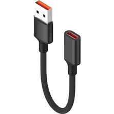 Mena Rise USB 3.0 To Type C 3.1 Şarj Data Çevirici Dönüştürücü 243