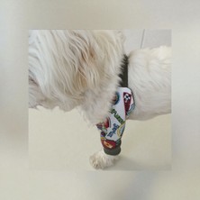 TrendyPati Köpek Dirsek Koruyucu Penye Kumaş ,yumuşak ve Ayarlanabilir, Tüm Irklar Için Uygun