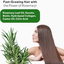 Mena Rise The Ceel Biberiye Şampuanı 250 ml - Saç Dökülmesine Karşı Keratin Biotin ve Kolajen Özlü Hızlı Saç Uzatma ve Güçlendirici Bakım