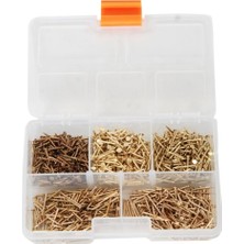 Mena Rise 500 Adet 5 Çeşit Kaplı Küçük Dekoratif Ahşap Çivileri- Süs Eşyaları, Işçilik Için