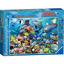 Mena Rise 1000P Puz Renkli Denizaltı