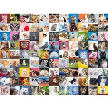 Mena Rise 1500P Puz 99 Kedi, Çok Renkli